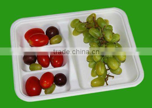 Wholesale good quality biodegradable disposable food container malaysia