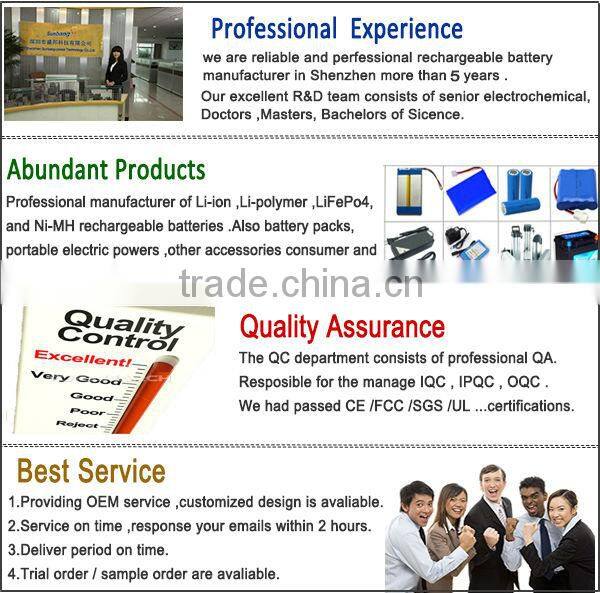 Customized voltage&capacity deep cycle rechargeable lithium 12v 24v 36v 16v e-bike lifepo4 battery 12v 45ah