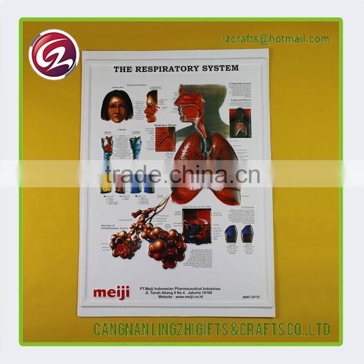 China wholesale pvc medical chart