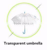 21" inch fold customized wine bottle umbrellas