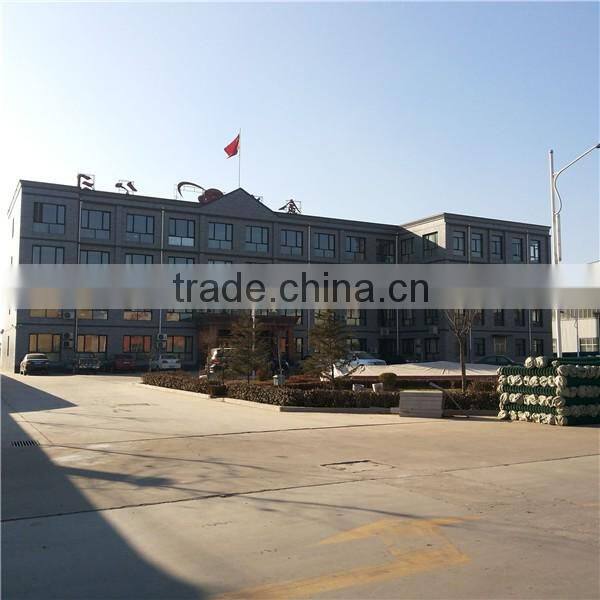 Plastic Anti-Bird Mesh/ Pond Covering Mesh/Anti-Bird Mesh