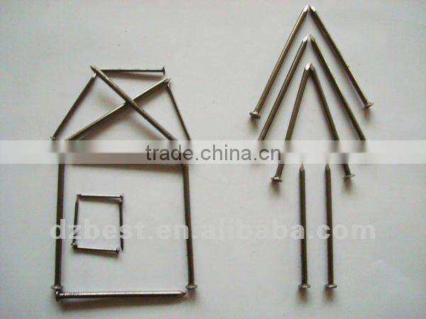 common iron round flat head nail