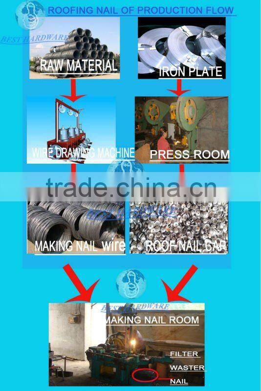 Galvanized Roofing nail with umbrella head