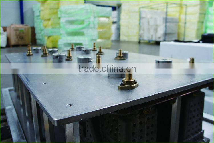Wholesale Vegetable EPS Box Moulds/Helmet Moulds