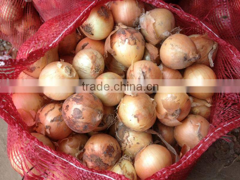 Yellow Onion Red Onion Specification Fresh