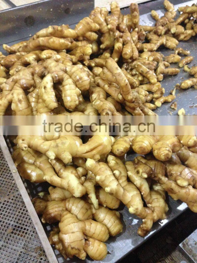 Big Size Yellow Fresh Ginger From China