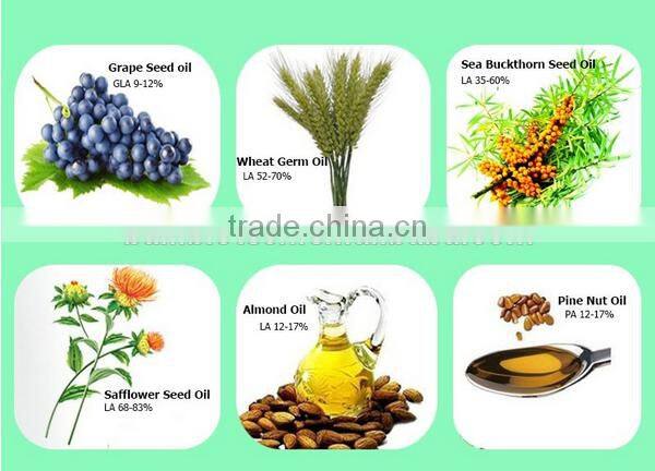 Manufacture whlolesale high quality organic Hemp Seed Oil beauty skin