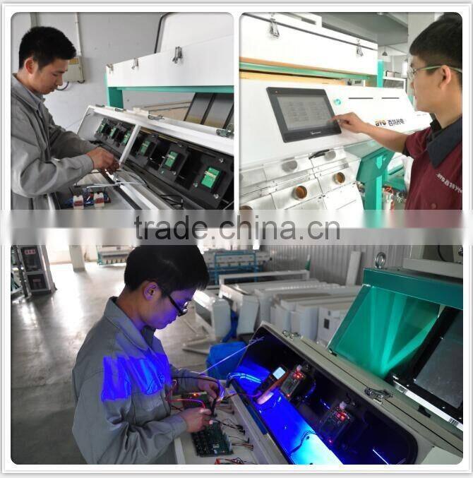 New Condition Peeled Garlic sorter machine in China