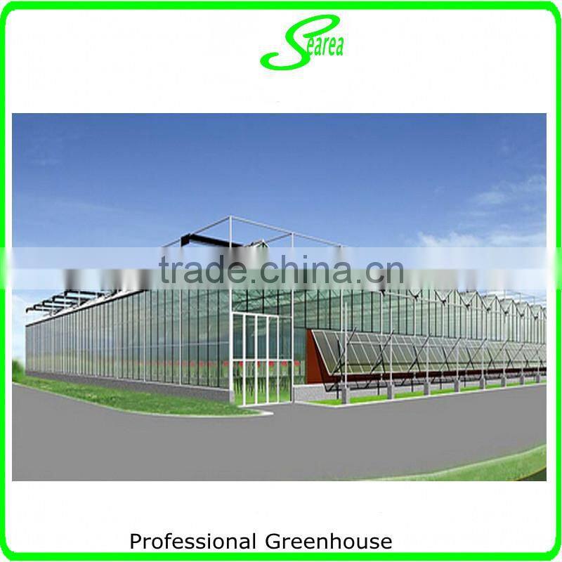 agricultrual sloar polycarbonate greenhouse project