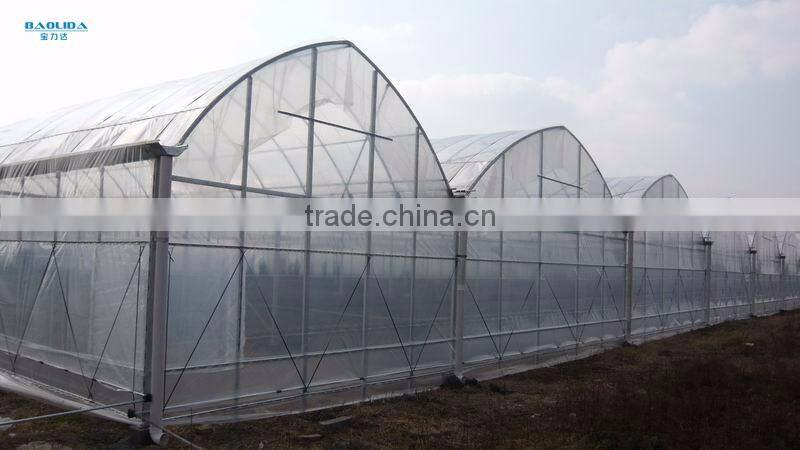 Multi Span Greenhouse /Invernadero For Vegetables