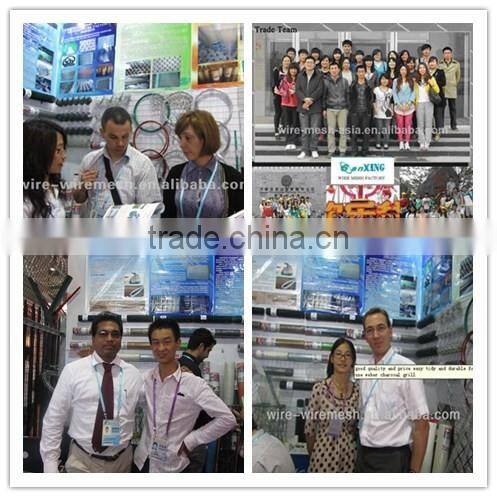 Gal. Iron Window Screen/ galvanized window screening