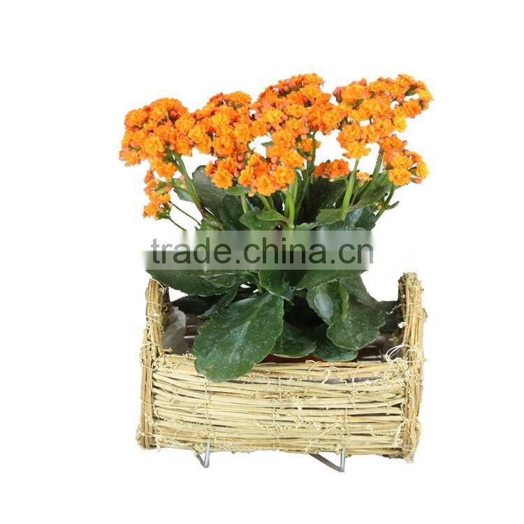 Natural rattan semi cylindrical garden planter and decoration tray