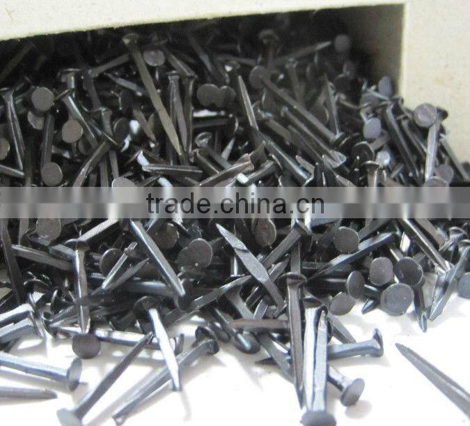 Blue shoe tacks nails(Guangzhou Factory)