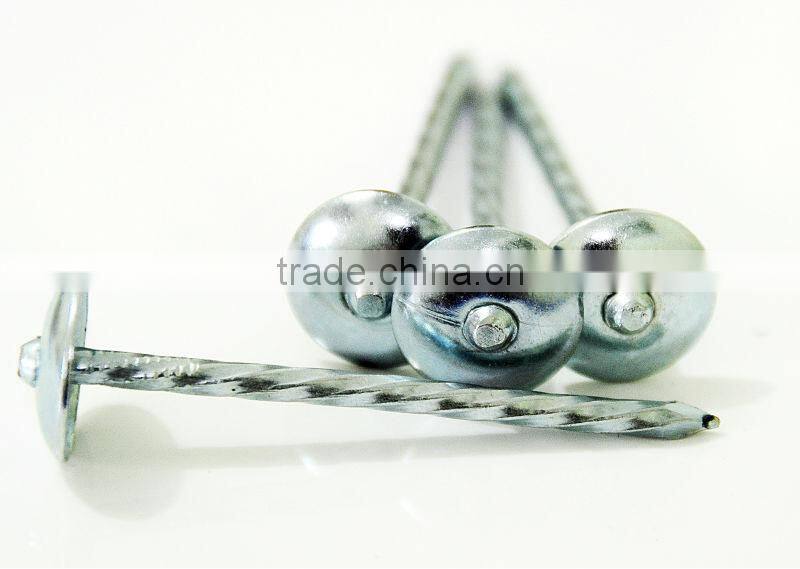 galvanized roofing nails price
