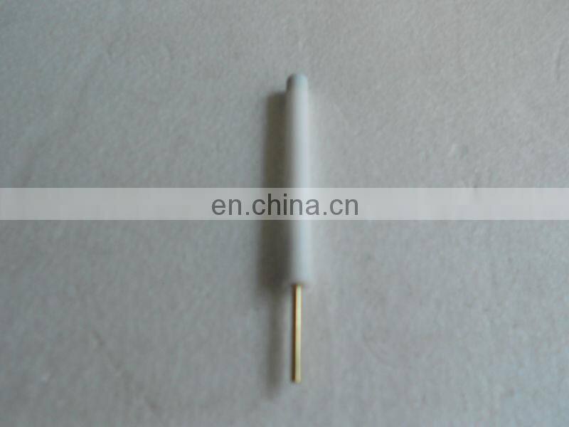 WE01 Working Electrode for Electrochemistry