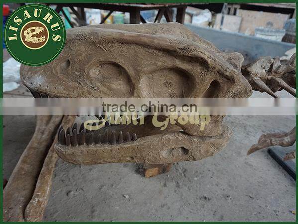 Lisaurus-R Dinosaur artificial skull