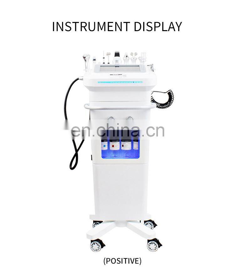 10 IN 1 Comprehensive Facial Massager Beauty Instrument Ion Bubble Cleansing Oxygen Hydration Rejuvenation Skin Care Machine