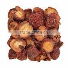 Sargentodoxa cuneata