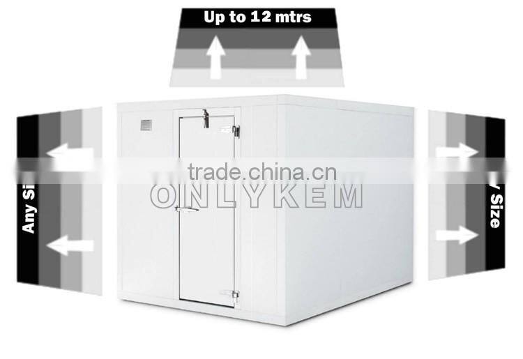 commercial R404A modified atmosphere cold storage for fruit