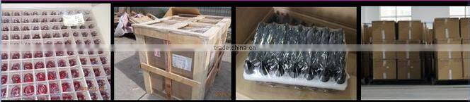 15ml unicorn bottle pen shape bottle 15ml PE plastic unicorn bottle