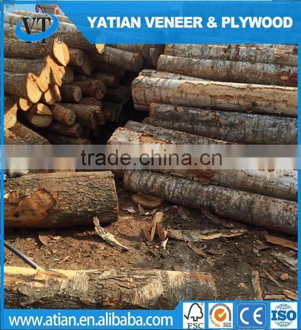 Recon wood ash veneer grade A factory supply best selling