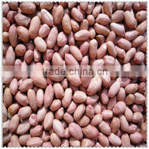 2015 new crop red skin peanut
