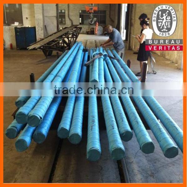 Good quality stainless steel ground rod