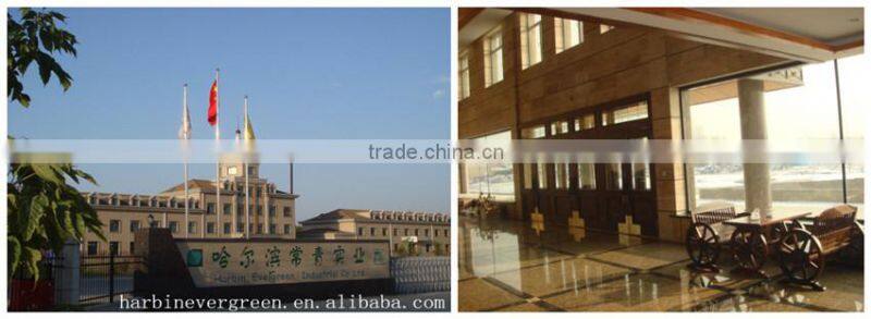 Disposable cutlery plastic fork