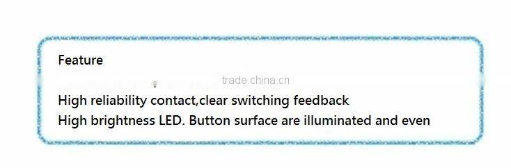 19X19 Key switch LED Illuminated Pushbutton Switch