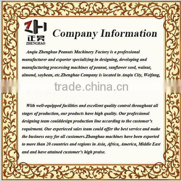 High quality Belt-style frying machine