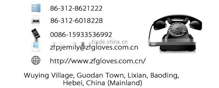China new design popular Ladies Sheepskin Leather Glove