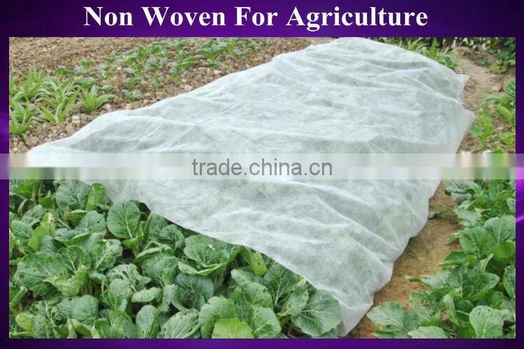 100% Polypropylene Fabric