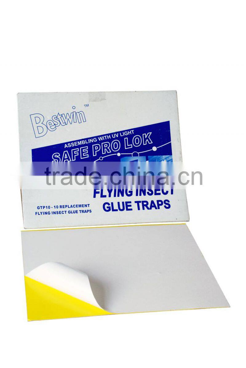 BSTW professional adhesive factory wholesale sticky UV lighted magic fly paper