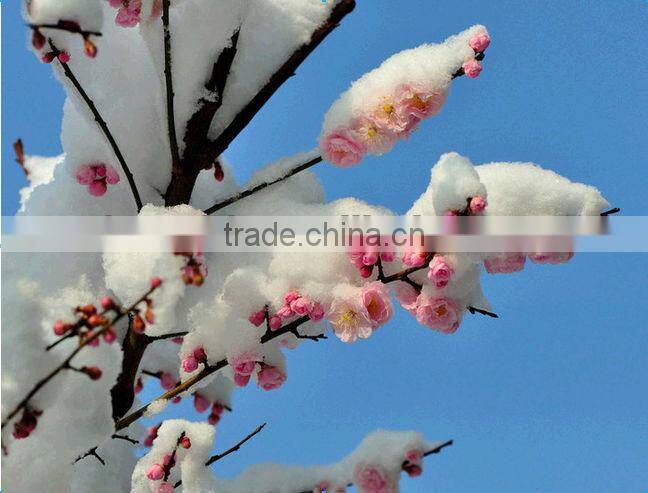 manufacturer for high quality 220g dual side matte color inkjet photo paper with competitive price