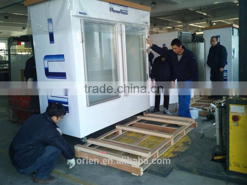 Indoor ice merchandiser (Bagged ice freezer)
