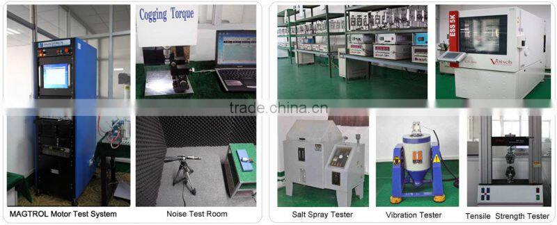 dc electric motor 48v 500w RS-997H