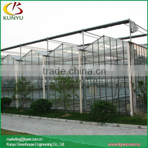Venlo roof type greenhouse supply backyard greenhouse