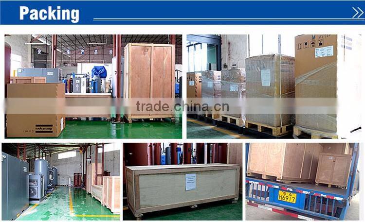 PSA Oxygen Generator by China Professional Supplier