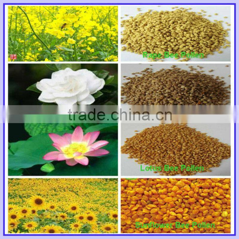 Factory Price New Pure Fresh Grannuled Bee Pollen