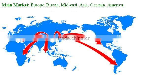 Chinese Xinjiang walnut kernel and delicious walnut kernel for sale to every one