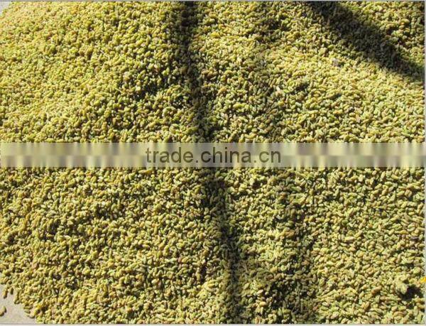 Thompson seedless green raisin