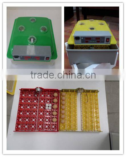 plastic chicken glasses