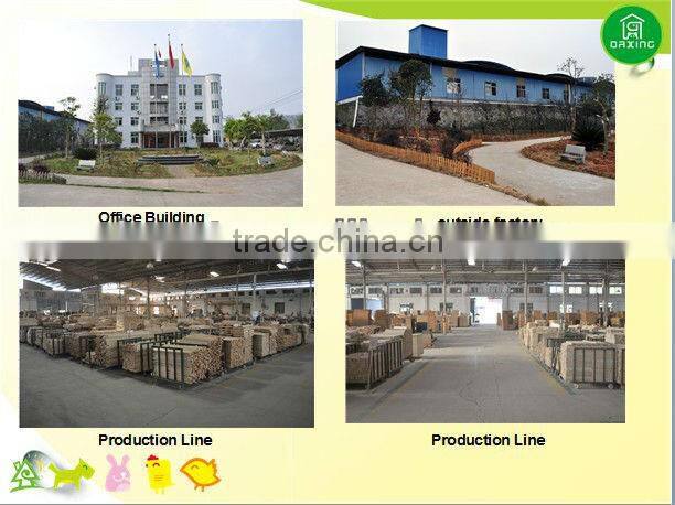 bird breeding cage DXBC005