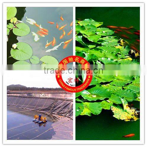 Special HDPE Geomembrane for Lotus keeping