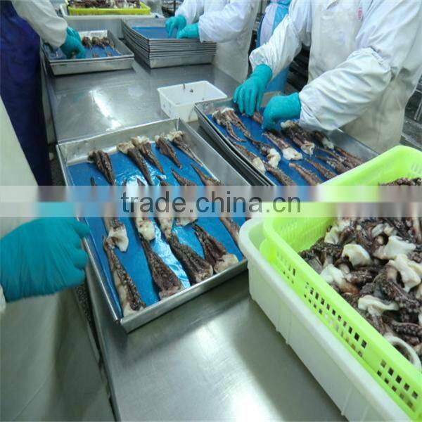 giant frozen recipe for squid