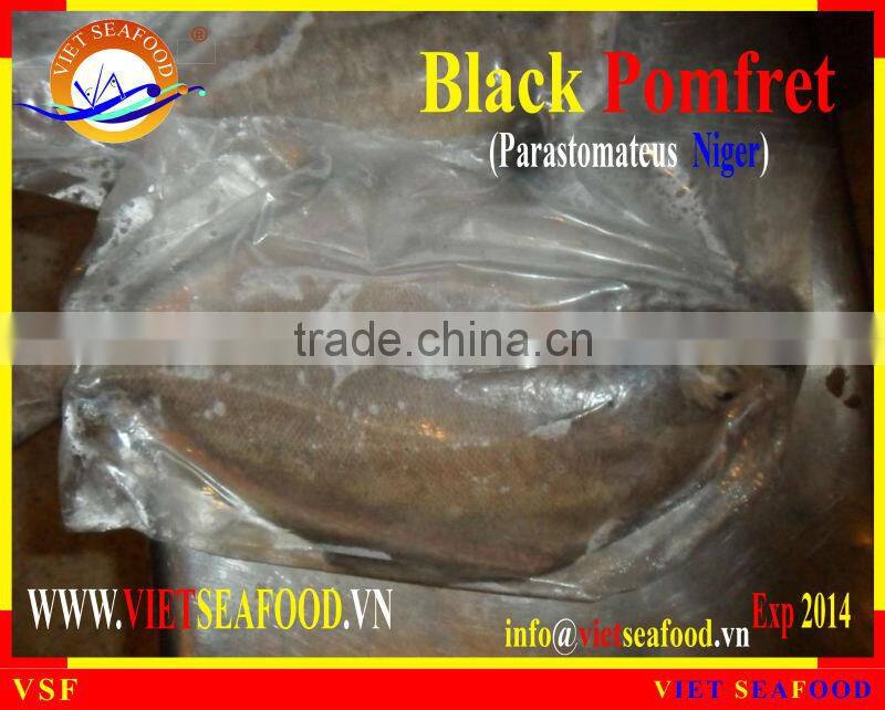 FROZEN BLACK POMFRET WHOLE ROUND
