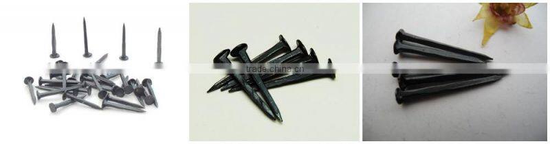 flat head shoe tacks nails/Cheap Shoe Tack Nails/ Linyi Nails