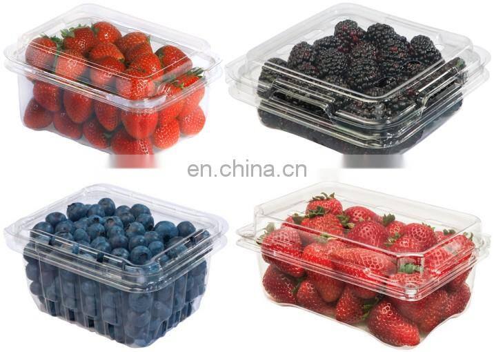 FSCT-770/570-B- full Automatic plastics vacuum thermoforming machine, vacuum forming machine thermoforming