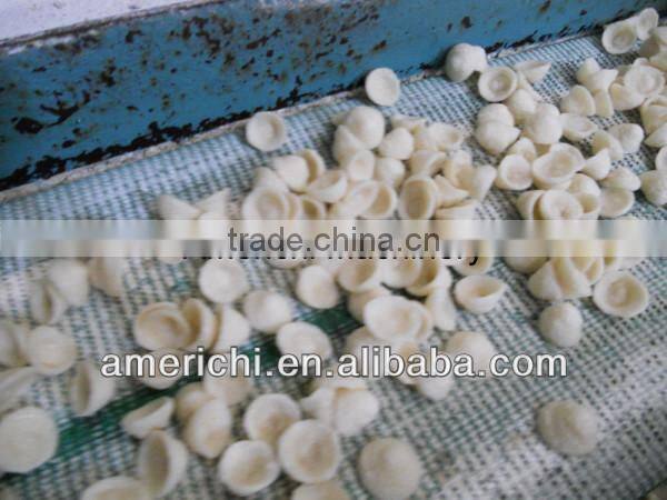 Pre gelatinized starch extruder