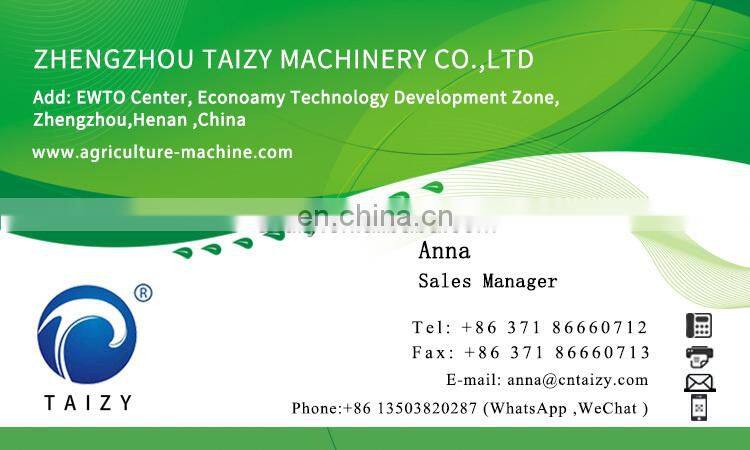 farmer planting machine for vegetable seedling chilli transplanter machine hot sale